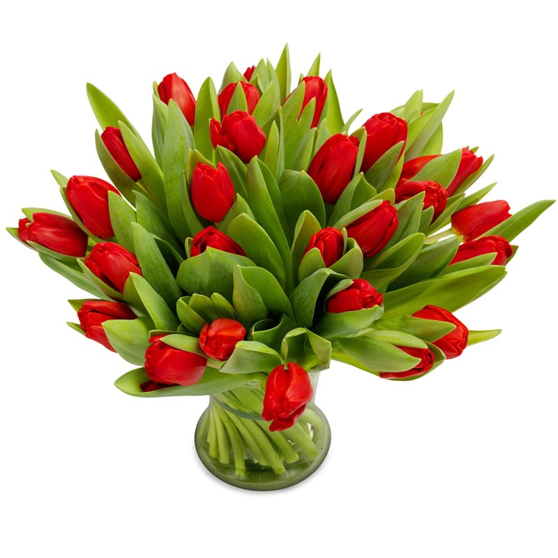 Deluxestrauß aus Tulpen in rot